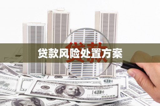 萍乡贷款风险处置方案