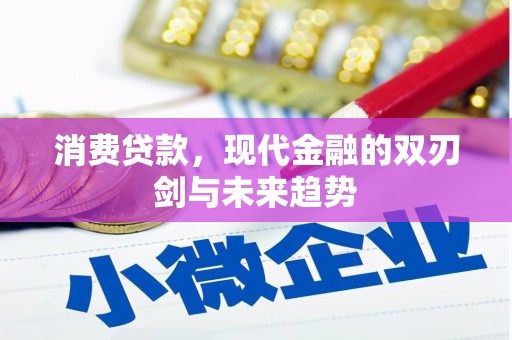 萍乡消费贷款，现代金融的双刃剑与未来趋势