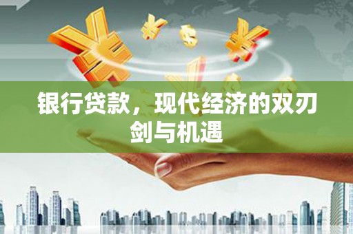 萍乡银行贷款，现代经济的双刃剑与机遇