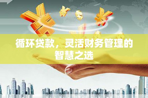 萍乡循环贷款，灵活财务管理的智慧之选