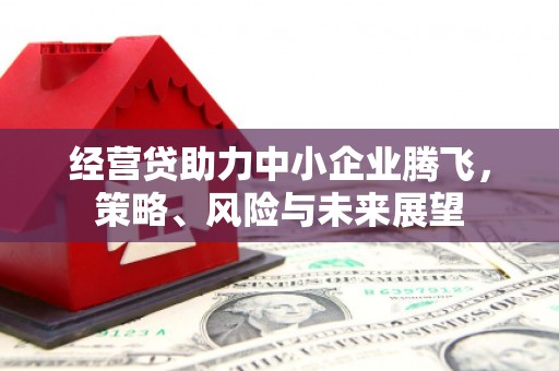 萍乡经营贷助力中小企业腾飞，策略、风险与未来展望