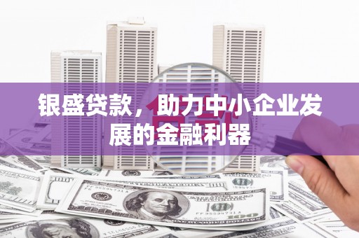 萍乡银盛贷款，助力中小企业发展的金融利器