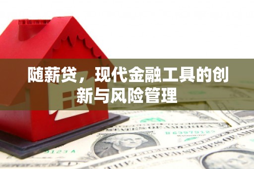 萍乡随薪贷，现代金融工具的创新与风险管理