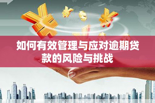 萍乡如何有效管理与应对逾期贷款的风险与挑战