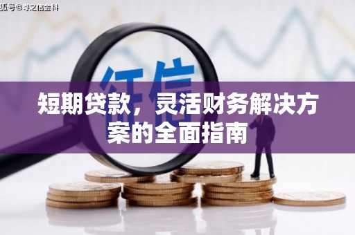 萍乡短期贷款，灵活财务解决方案的全面指南