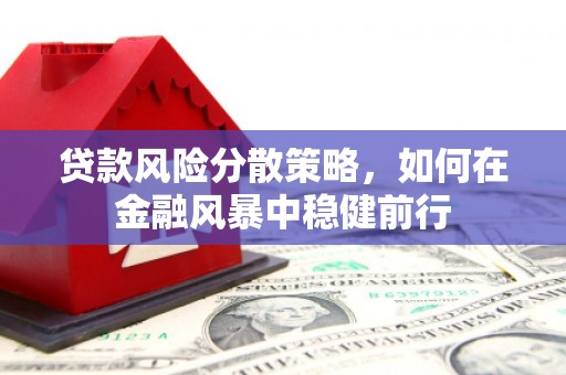 萍乡贷款风险分散策略，如何在金融风暴中稳健前行