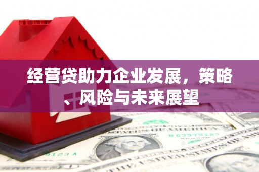 萍乡经营贷助力企业发展，策略、风险与未来展望
