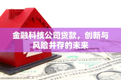 萍乡金融科技公司贷款，创新与风险并存的未来