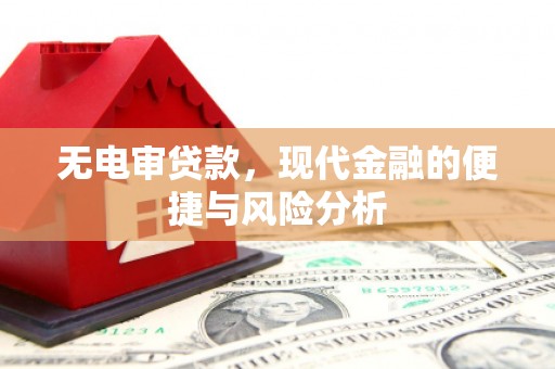 萍乡无电审贷款，现代金融的便捷与风险分析