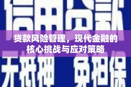 萍乡贷款风险管理，现代金融的核心挑战与应对策略