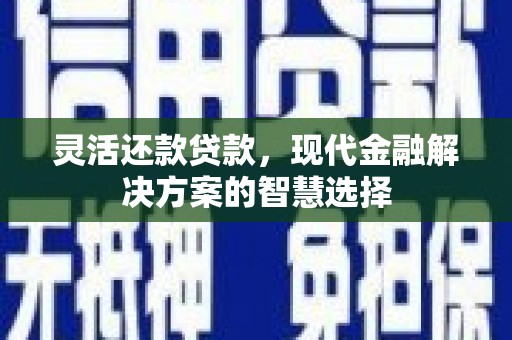 萍乡灵活还款贷款，现代金融解决方案的智慧选择