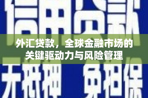 萍乡外汇贷款，全球金融市场的关键驱动力与风险管理