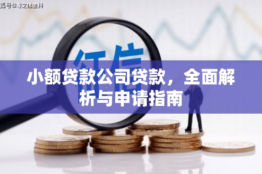 萍乡小额贷款公司贷款，全面解析与申请指南