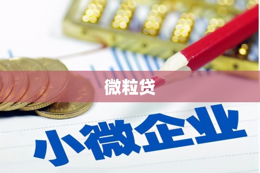 萍乡微粒贷