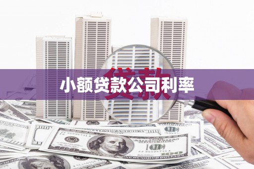 萍乡小额贷款公司利率