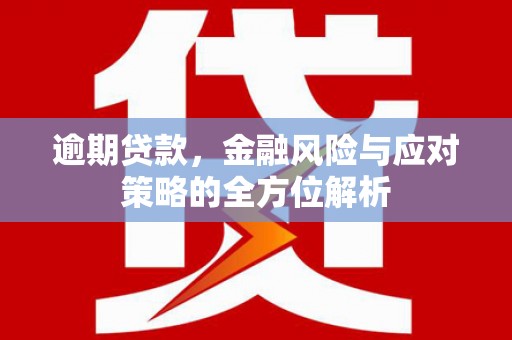 萍乡逾期贷款，金融风险与应对策略的全方位解析