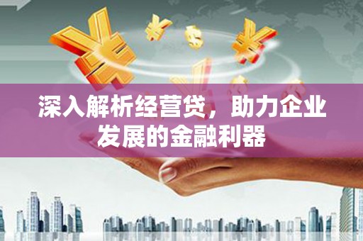 萍乡深入解析经营贷，助力企业发展的金融利器