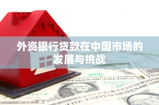 萍乡外资银行贷款在中国市场的发展与挑战