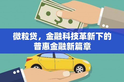 萍乡微粒贷，金融科技革新下的普惠金融新篇章