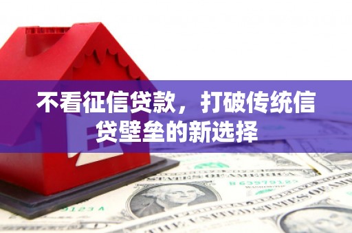 萍乡不看征信贷款，打破传统信贷壁垒的新选择