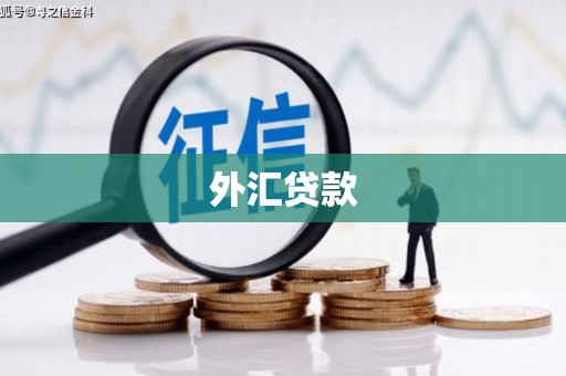 萍乡外汇贷款