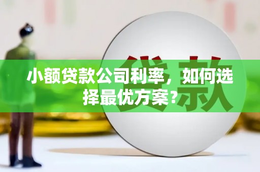 萍乡小额贷款公司利率，如何选择最优方案？