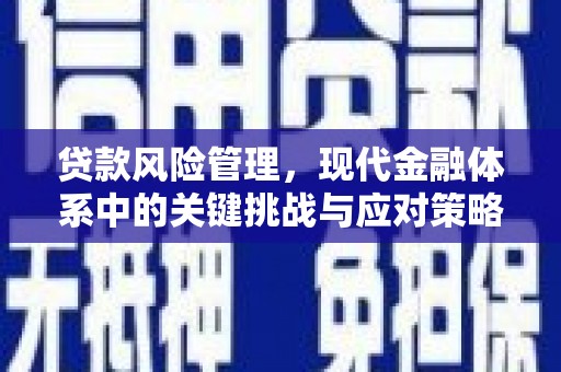 萍乡贷款风险管理，现代金融体系中的关键挑战与应对策略