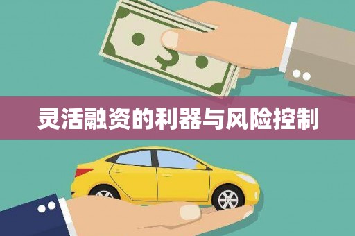 萍乡灵活融资的利器与风险控制