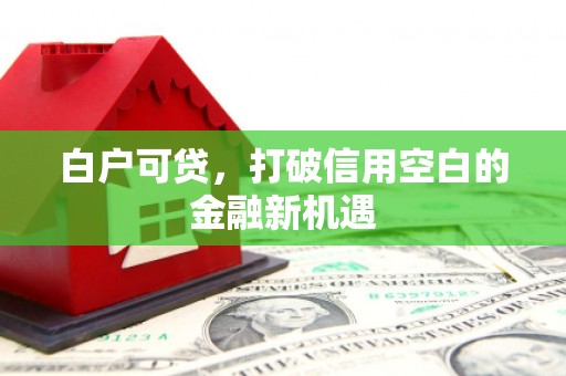 萍乡白户可贷，打破信用空白的金融新机遇