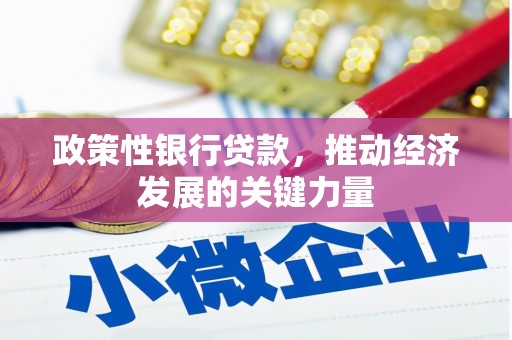 萍乡政策性银行贷款，推动经济发展的关键力量