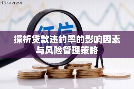 萍乡探析贷款违约率的影响因素与风险管理策略