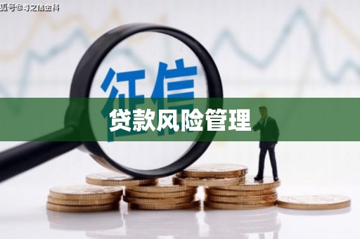 萍乡贷款风险管理