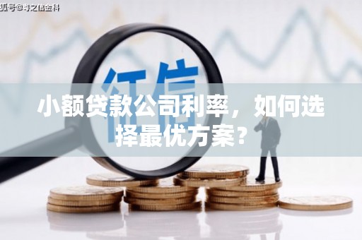 萍乡小额贷款公司利率，如何选择最优方案？