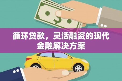 萍乡循环贷款，灵活融资的现代金融解决方案