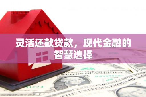 萍乡灵活还款贷款，现代金融的智慧选择