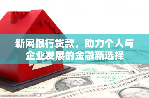 萍乡新网银行贷款，助力个人与企业发展的金融新选择