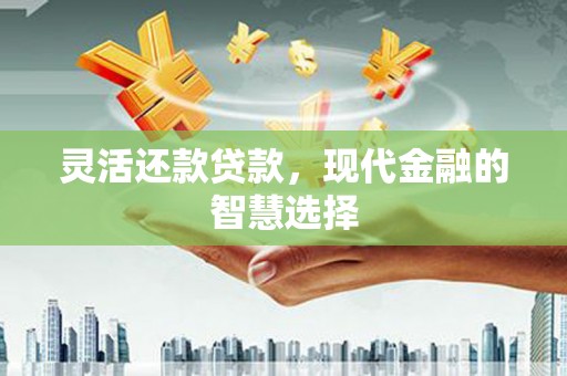 萍乡灵活还款贷款，现代金融的智慧选择
