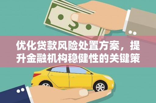 萍乡优化贷款风险处置方案，提升金融机构稳健性的关键策略