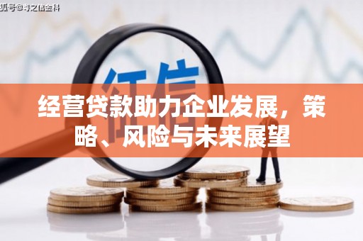 萍乡经营贷款助力企业发展，策略、风险与未来展望