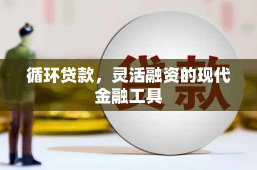 萍乡循环贷款，灵活融资的现代金融工具