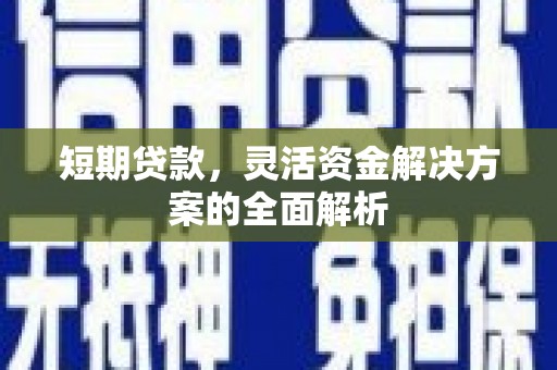 萍乡短期贷款，灵活资金解决方案的全面解析