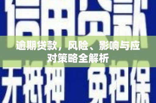 萍乡逾期贷款，风险、影响与应对策略全解析