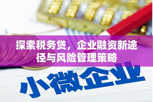 萍乡探索税务贷，企业融资新途径与风险管理策略