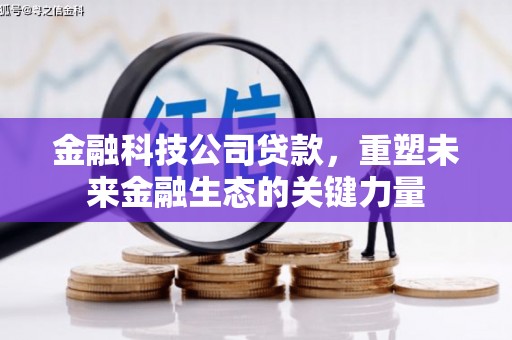 萍乡金融科技公司贷款，重塑未来金融生态的关键力量