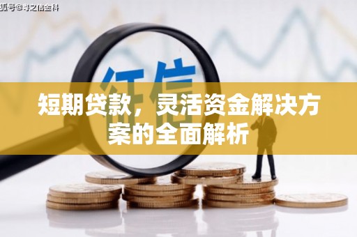 萍乡短期贷款，灵活资金解决方案的全面解析