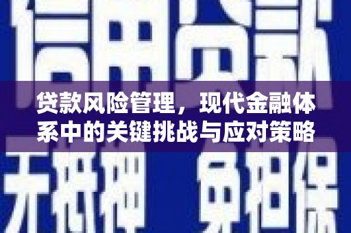 萍乡贷款风险管理，现代金融体系中的关键挑战与应对策略
