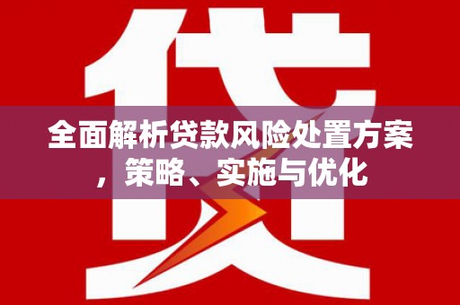 萍乡全面解析贷款风险处置方案，策略、实施与优化