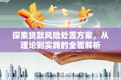 萍乡探索贷款风险处置方案，从理论到实践的全面解析