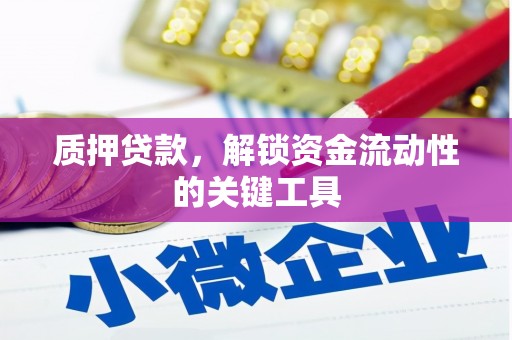 萍乡质押贷款，解锁资金流动性的关键工具