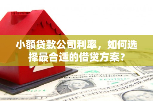 萍乡小额贷款公司利率，如何选择最合适的借贷方案？